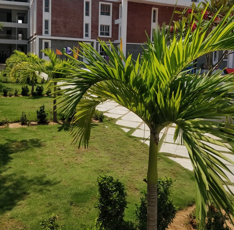 CBSE school campus, Siruseri OMR