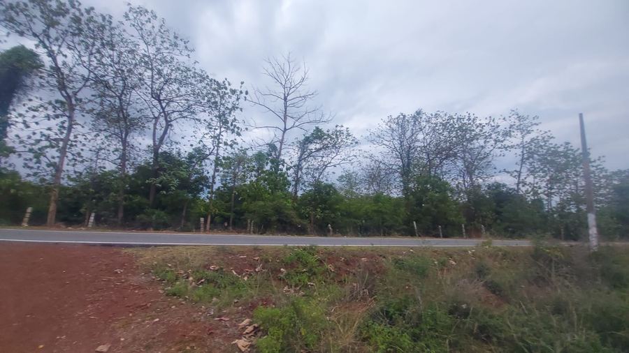 Mango and teak farm land, Mamandoor