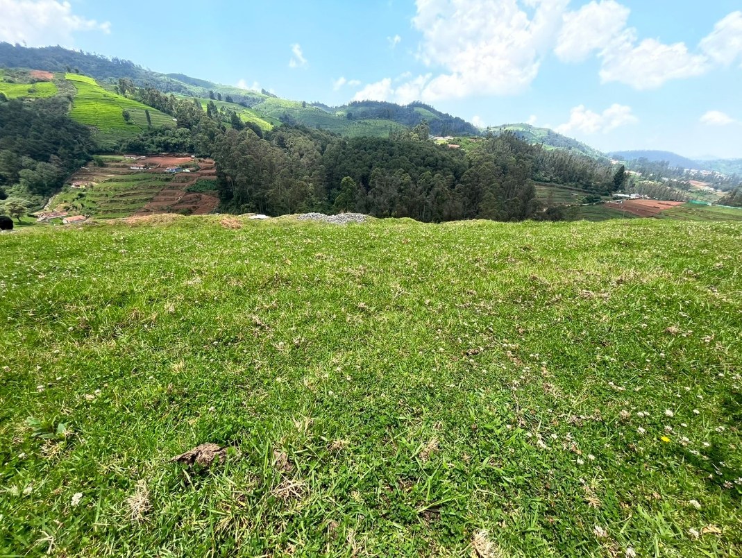 Lovdale, Ooty - 3 Acres 30 Cents Hill Land