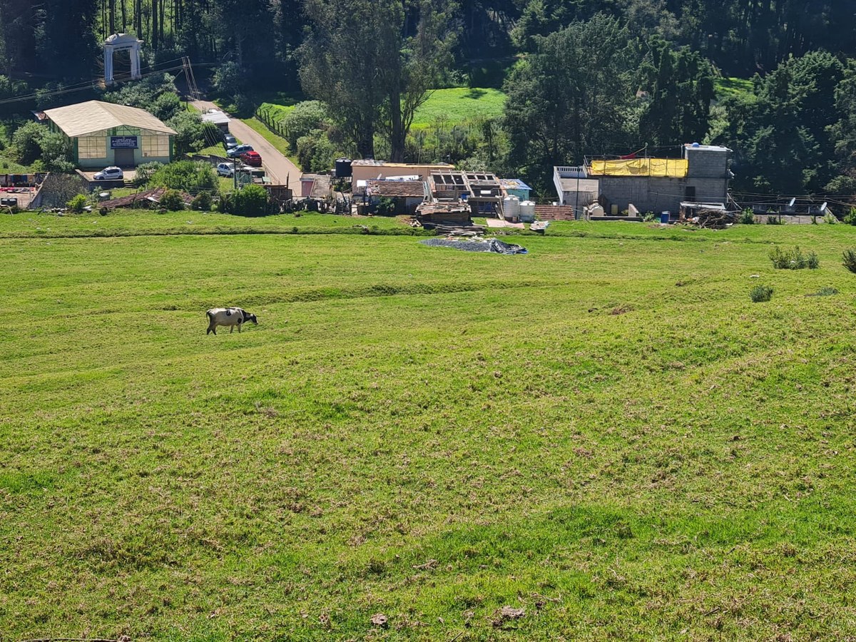7.23-Acre Land near Ooty - Finger Post, Udhagamandalam